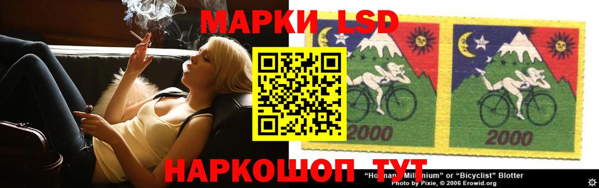 Псилоцибиновые грибы Ростов Великий