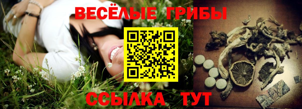 Ростов Великий  Псилоцибиновые грибы Cubensis  Вход с VPN 